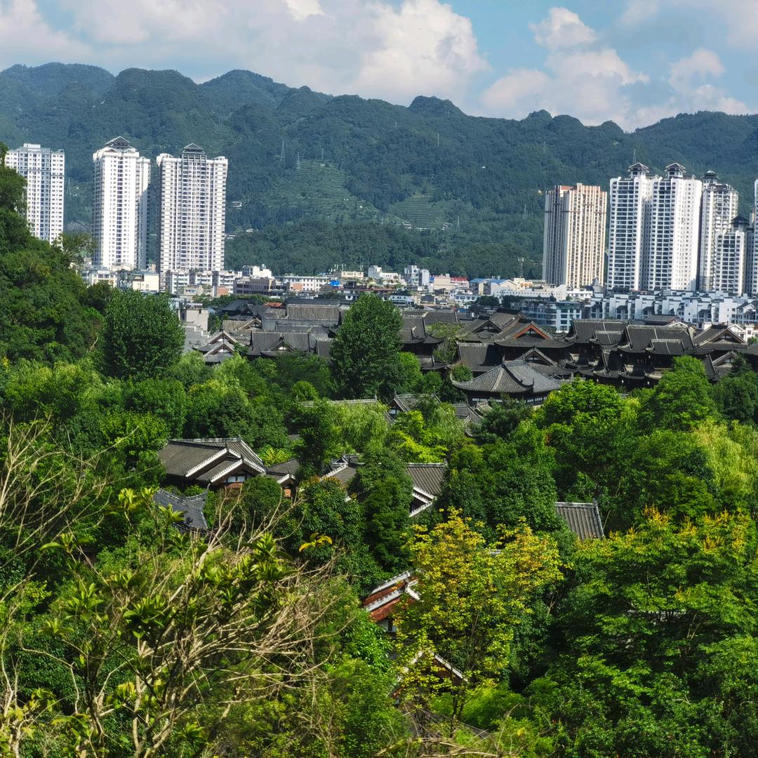 杨智灵家政有限公司