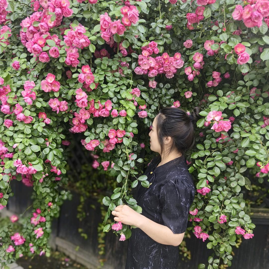 时光，流年，谁能🉐尝所愿