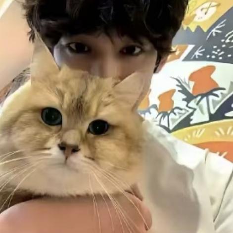 若有缘（接一切永劫代肝）