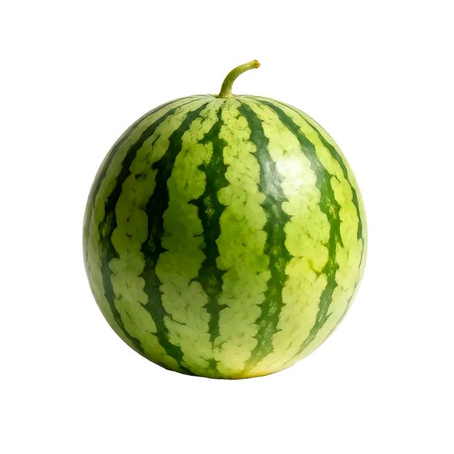 子不我与（大大大西瓜版）