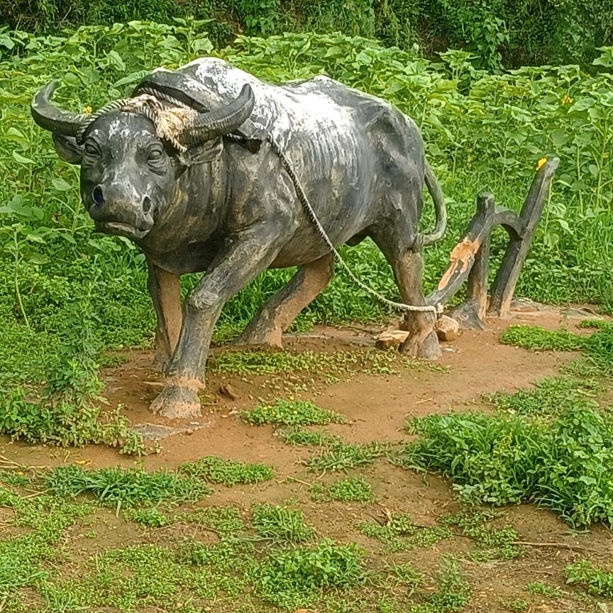 周默《理拜六》