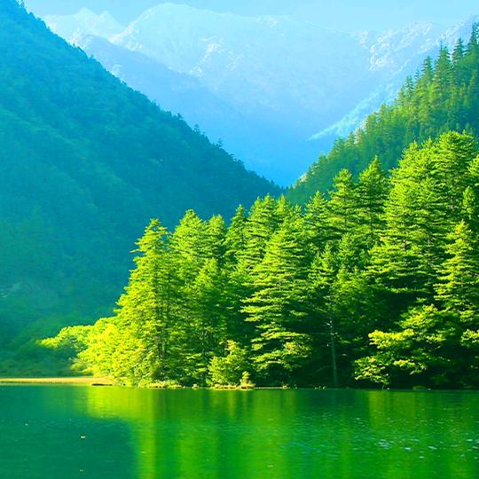 🌈爱丽🍀