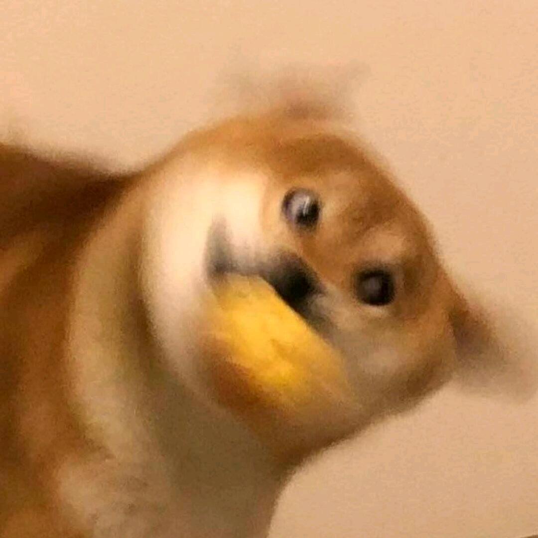 芬叻（三角洲行动）