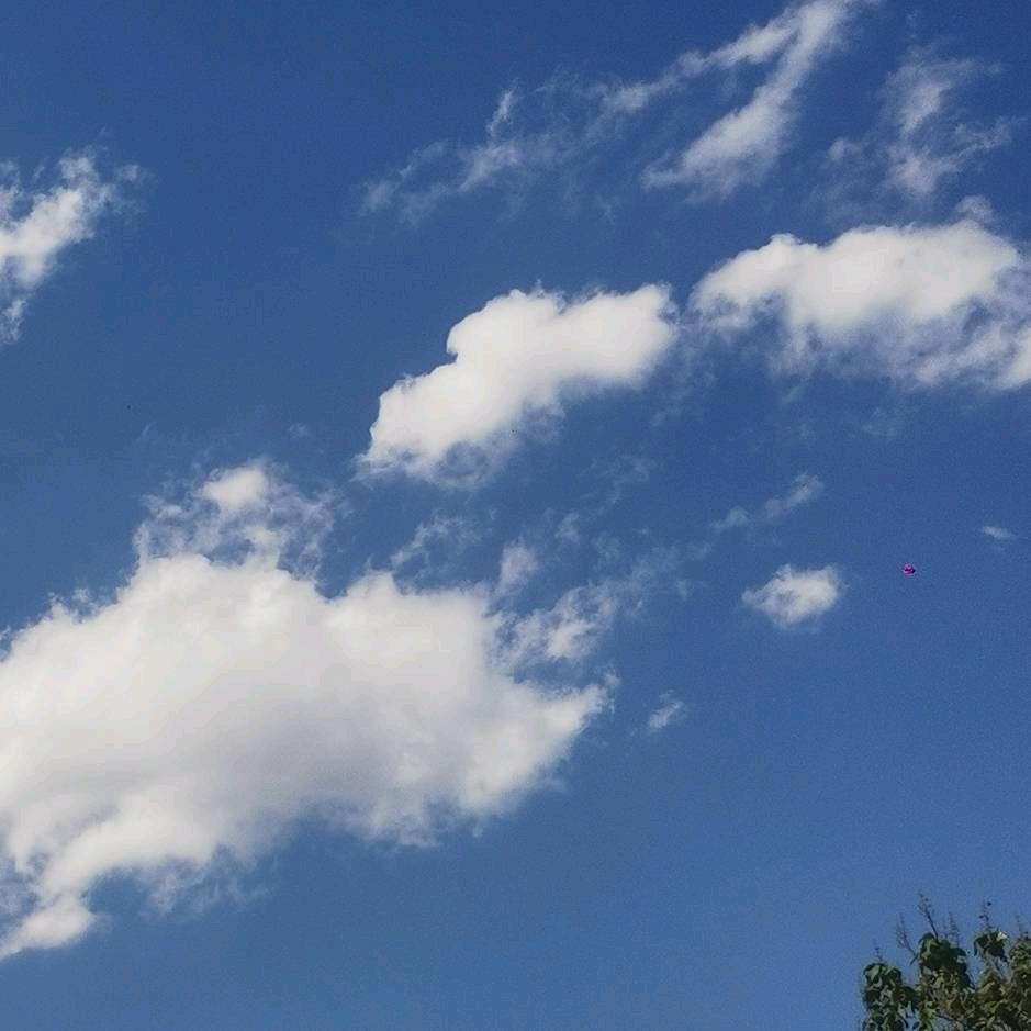 🇨🇳余生 安好