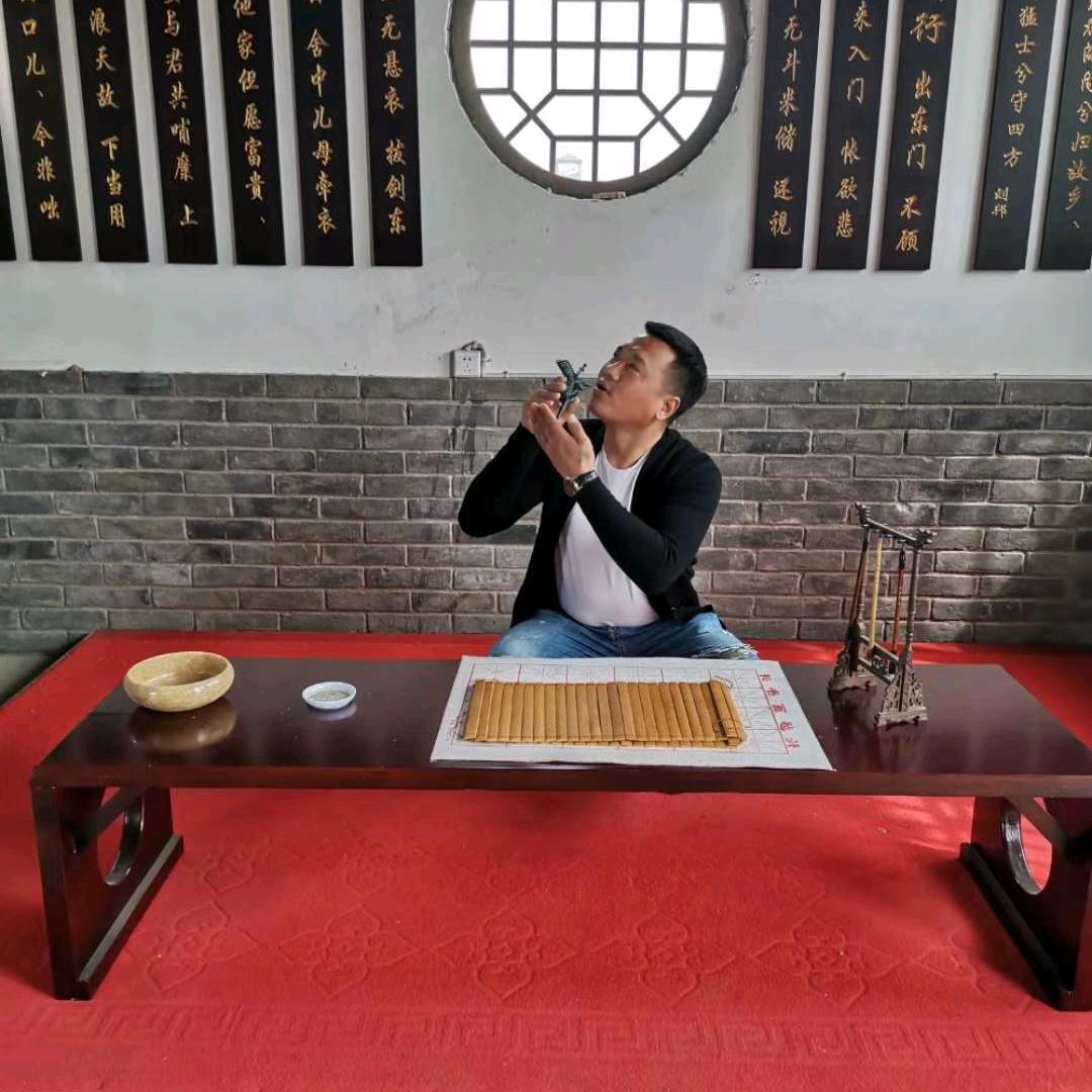 陕蛋