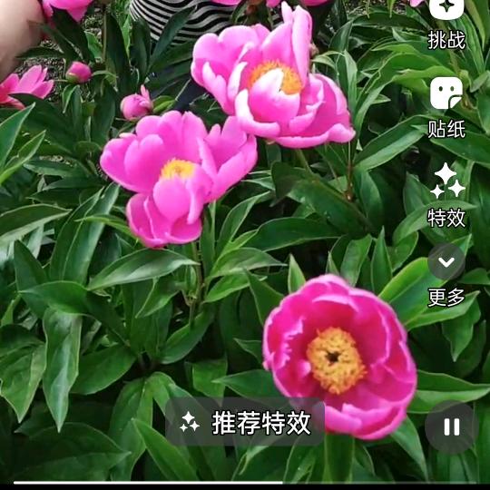 刘姐
