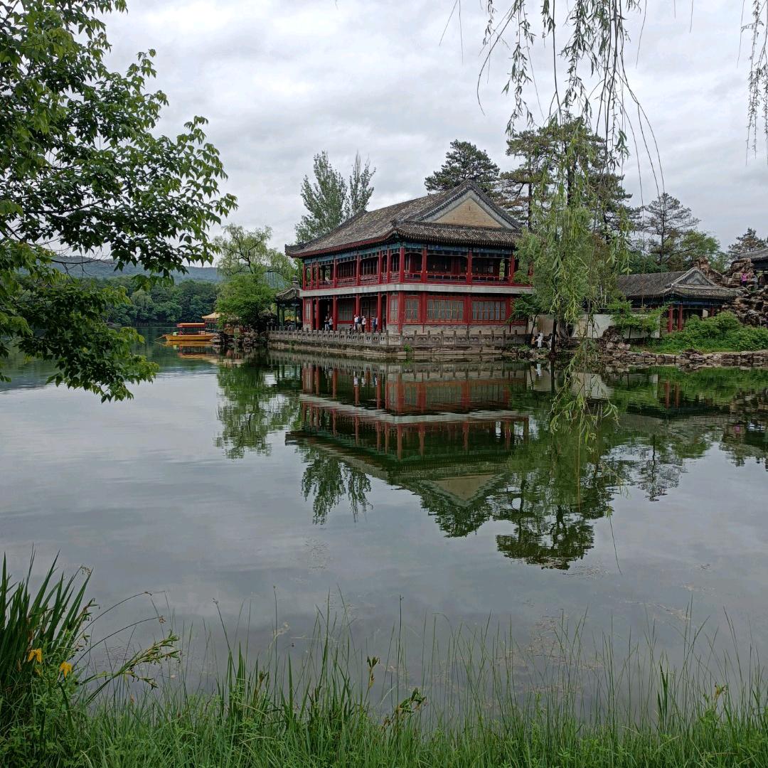 馨禾