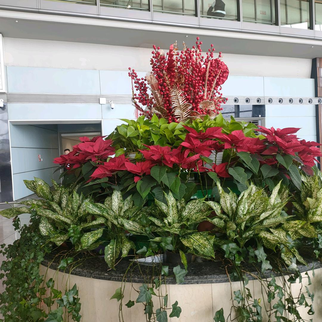 @平平淡淡才是真