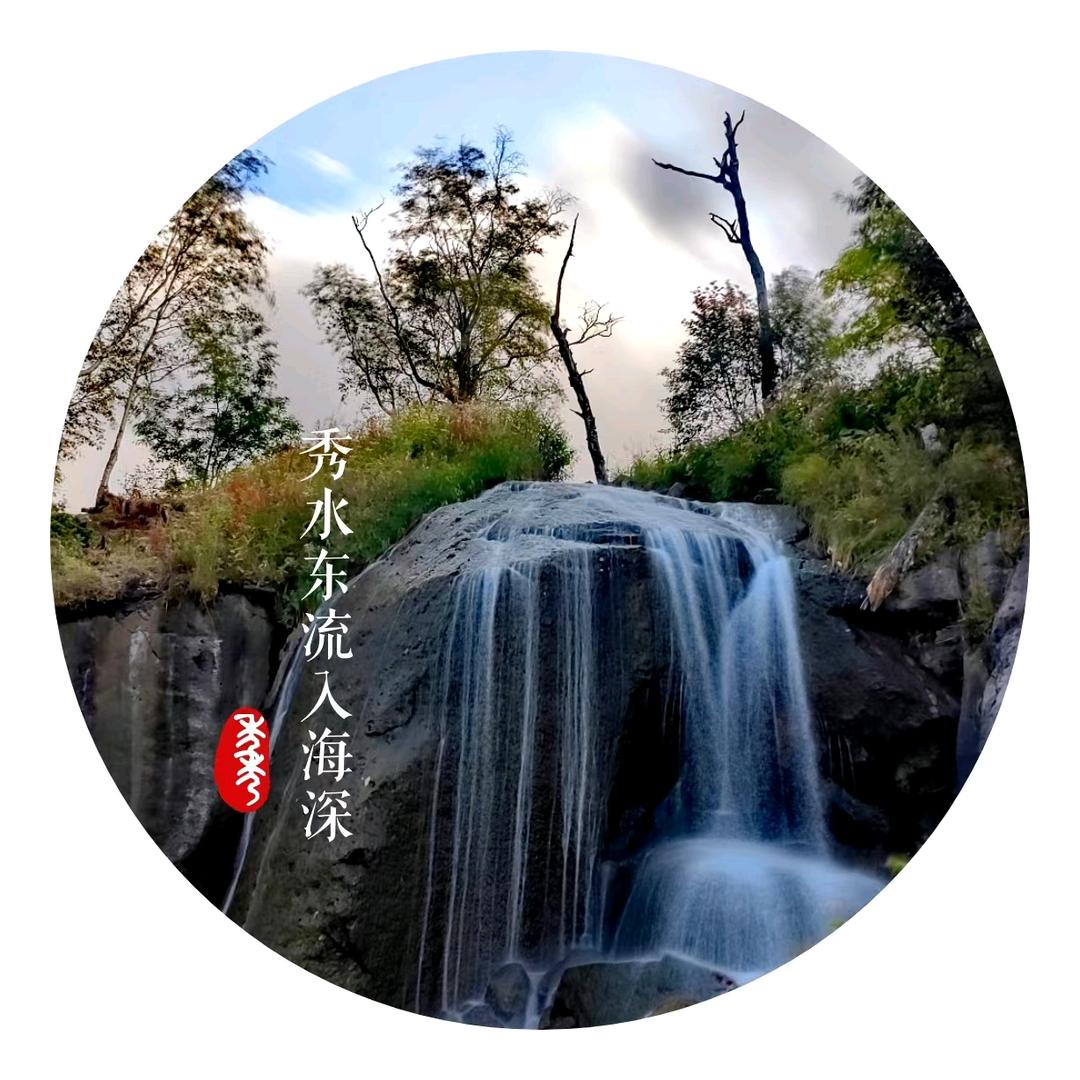 秀秀的