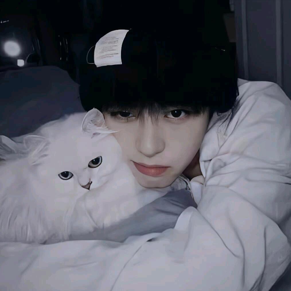 铲盟-浩洋 (团队招人)