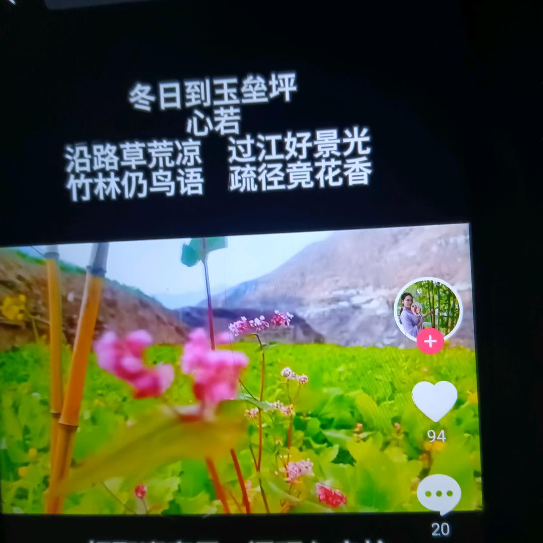 情深，缘浅