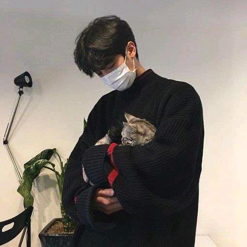 迷糊的笨蛋