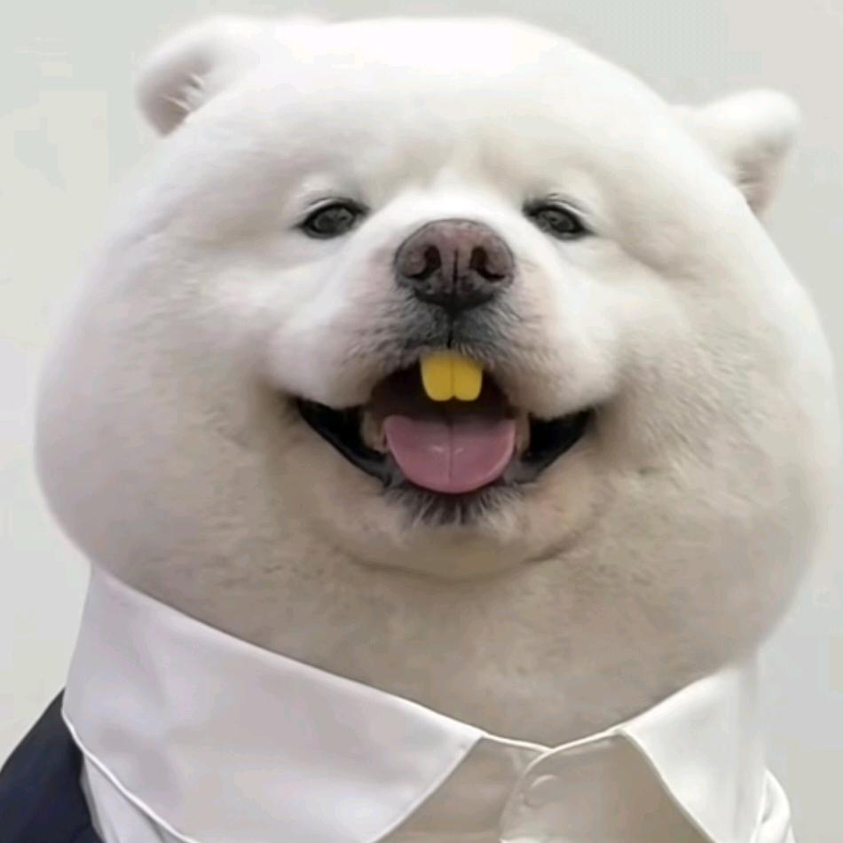 碳水脑袋