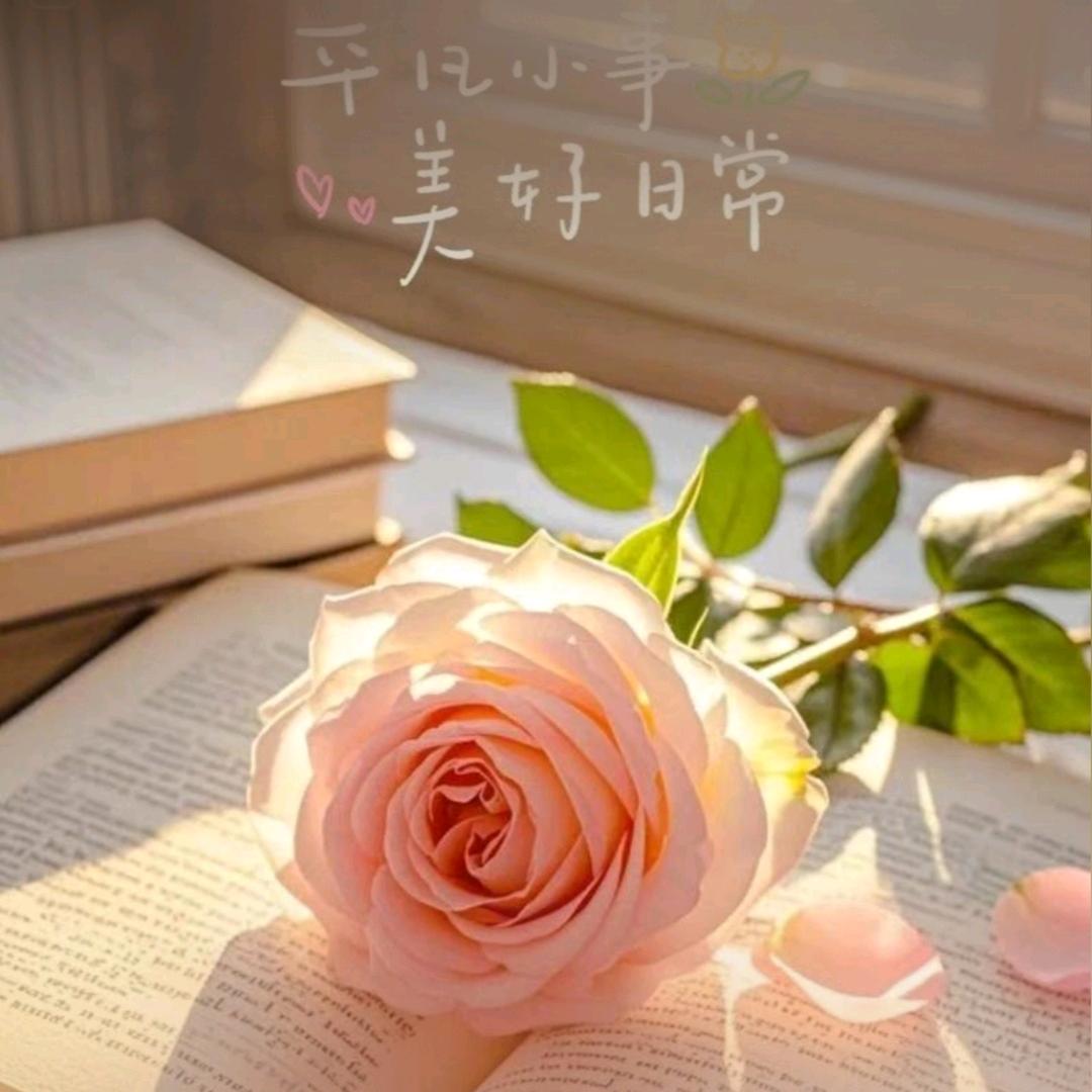 °ʚ飘似暖阳ɞ°