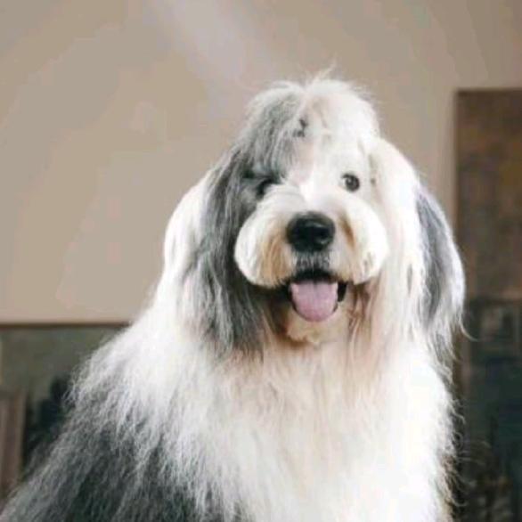 中国大陆最南端