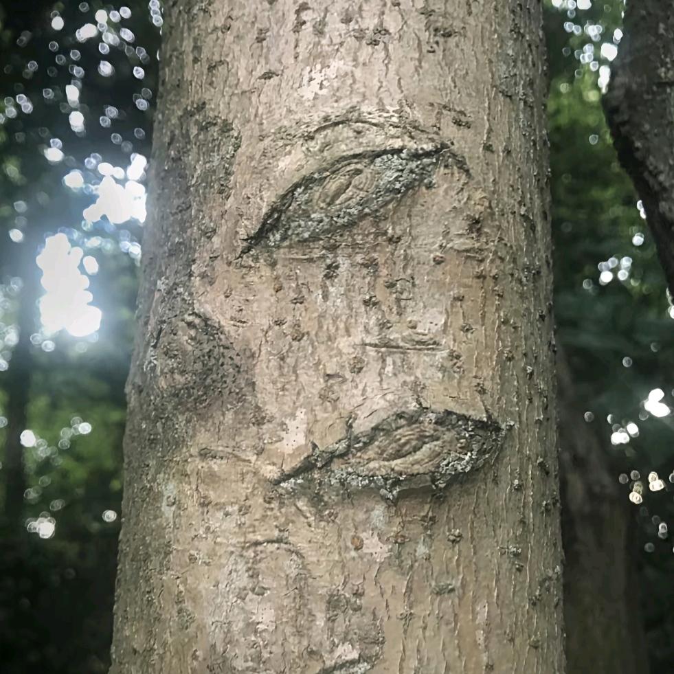 擦去你眼角的泪