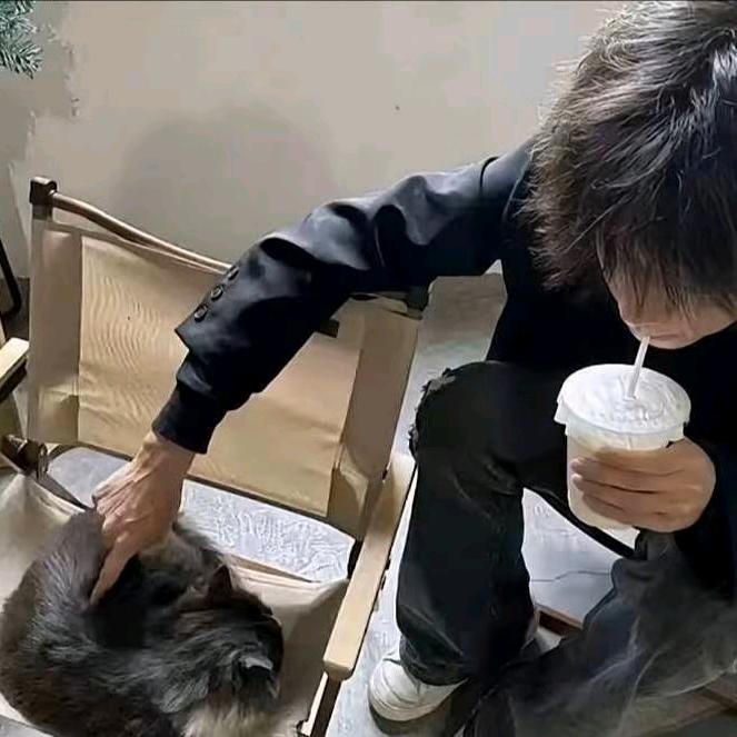 林俊泽头像