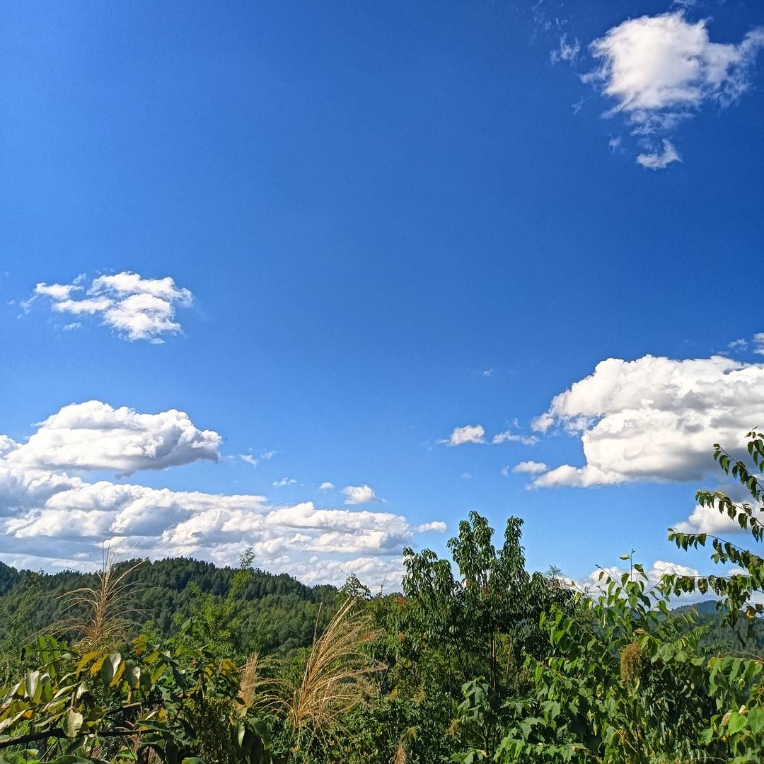 💰『』相识『』已是上上签，💞᭄