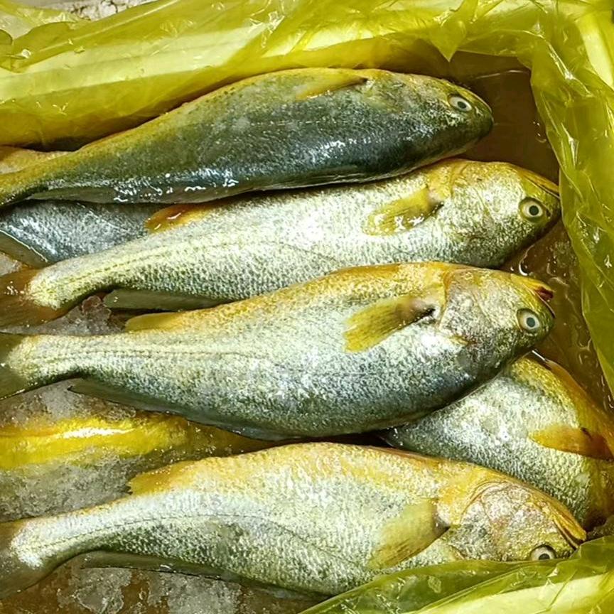 二毛（南小巷水产海鲜）