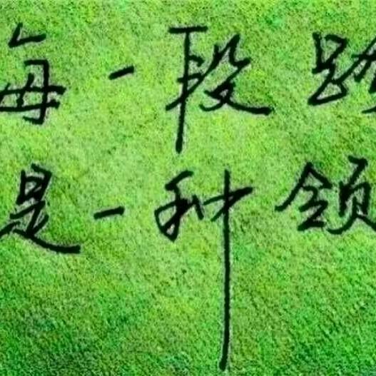 向日葵🌻🌻🌻🌻🌻