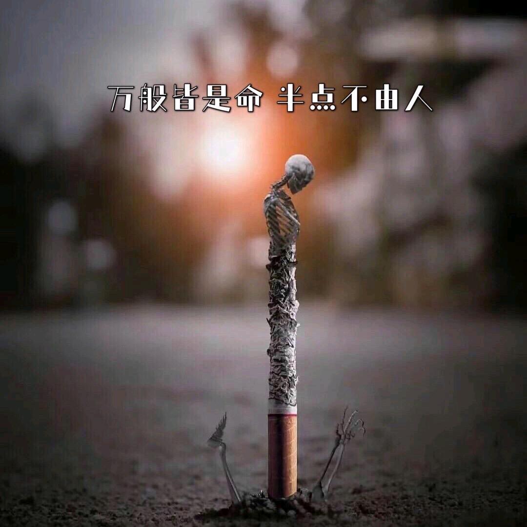 💔꧔ꦿ᭄万般皆是命 ，半点不由人꧔ꦿ᭄