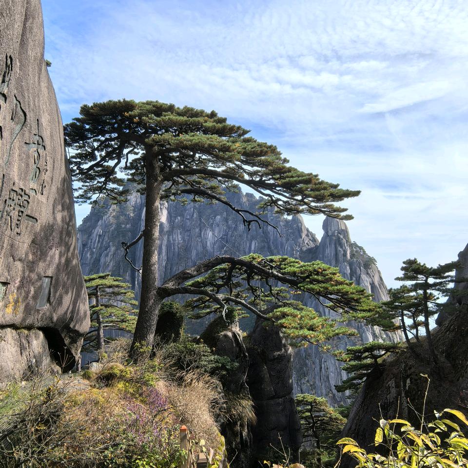 热爱生活热爱美丽风景线的小王