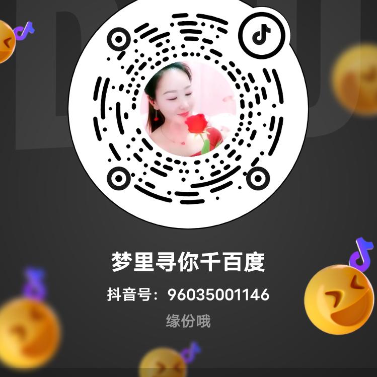 梦里寻你千百度