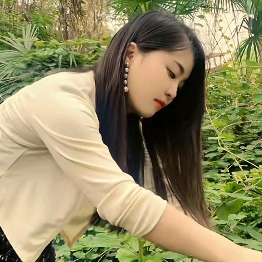 珍珠妹