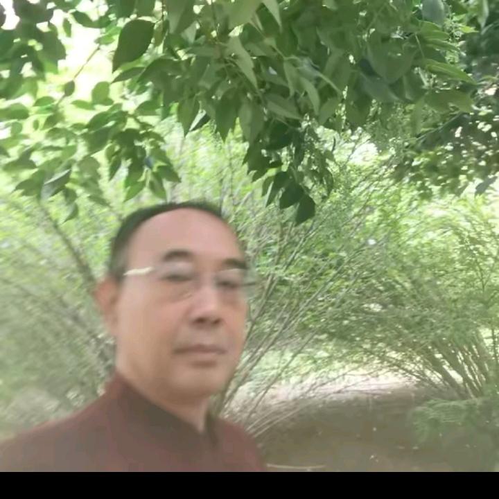 快乐的兔xJ
