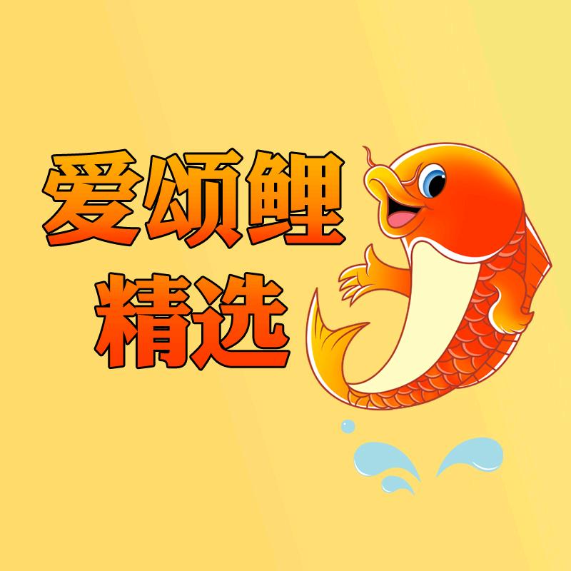 爱颂鲤精选