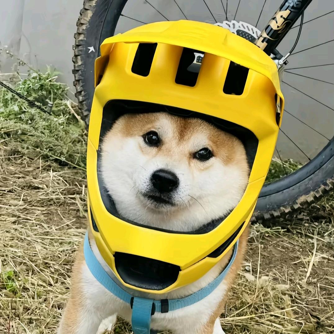 忽晚（NBL）