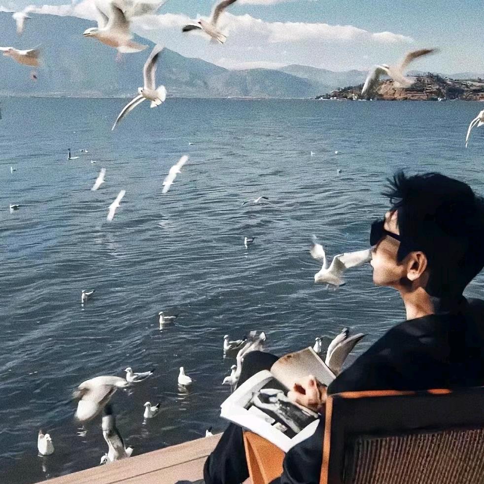晴天的海