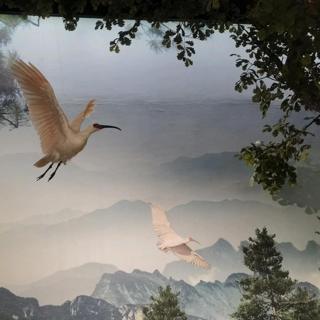 惊觉相思一入骨