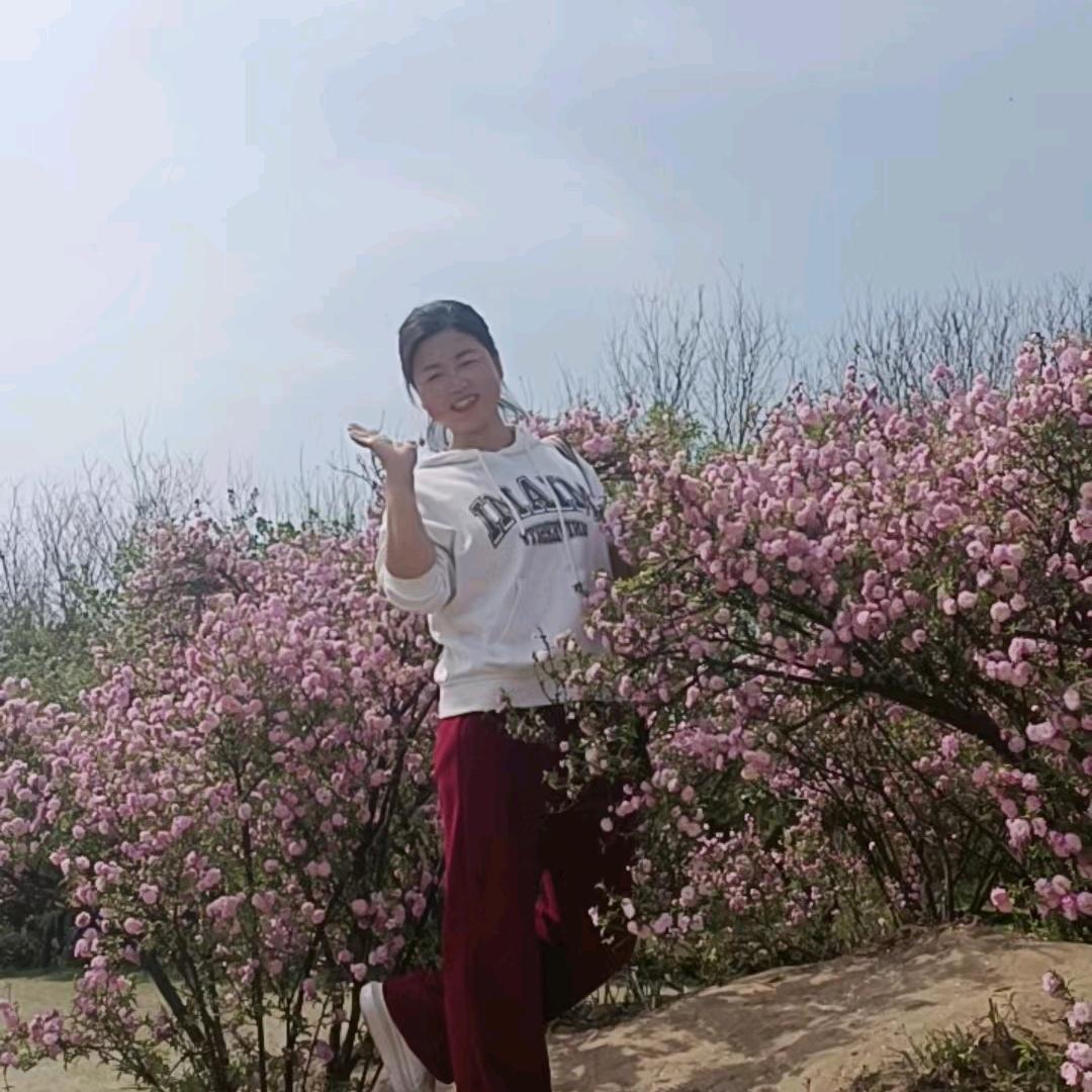 玲来也