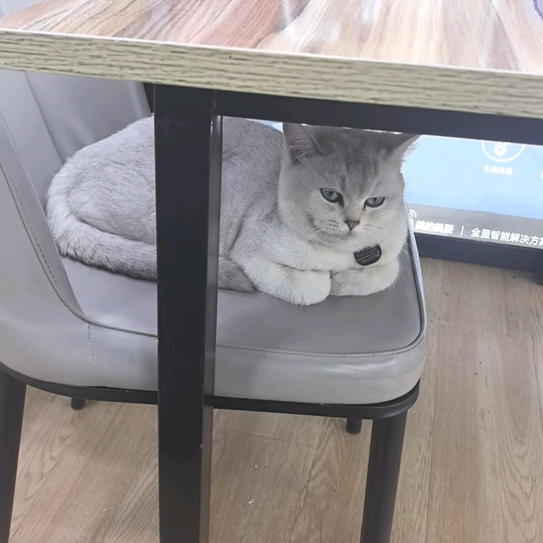 MWG
