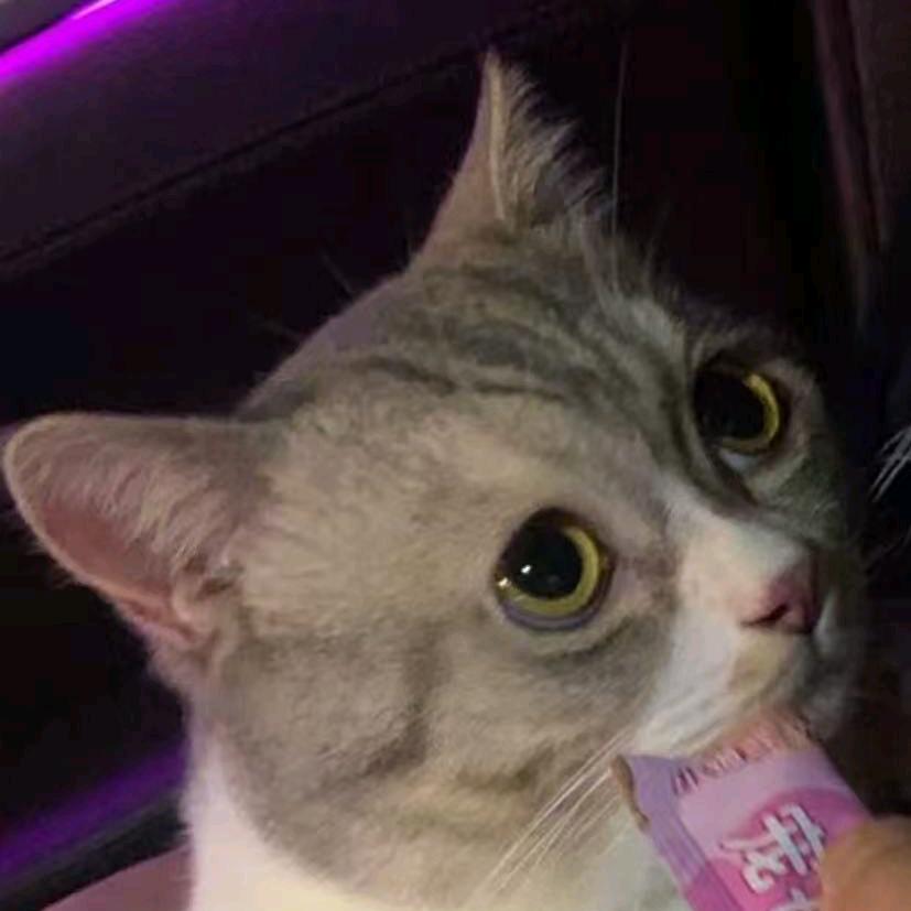 我与来财哥