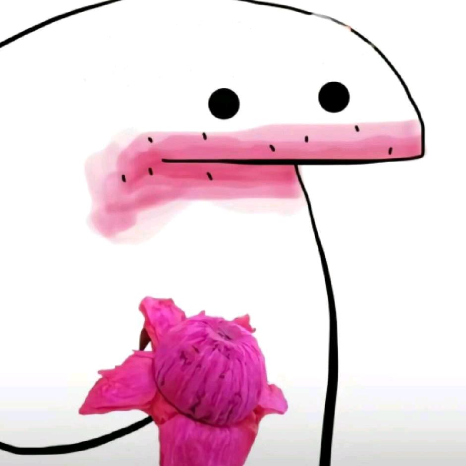 陈澈