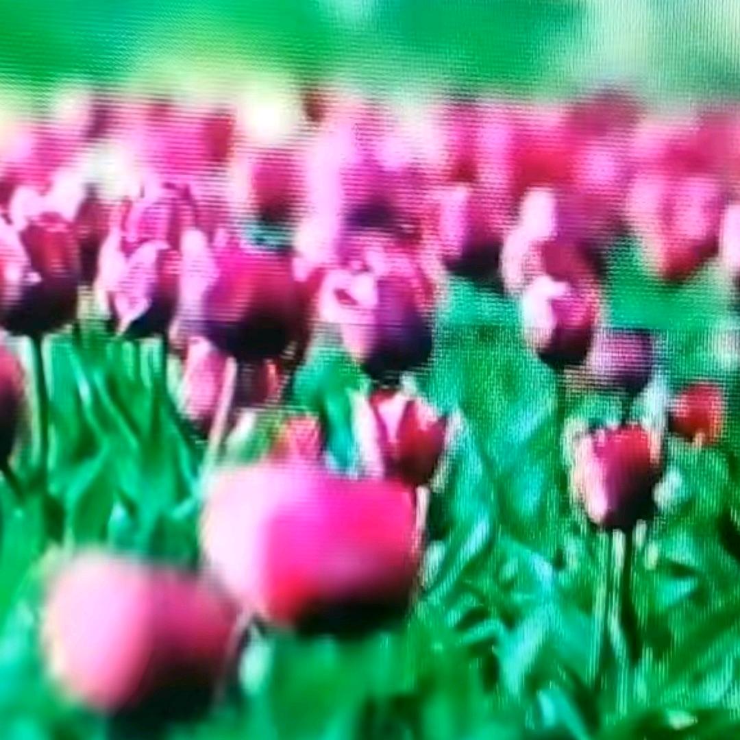 老公′