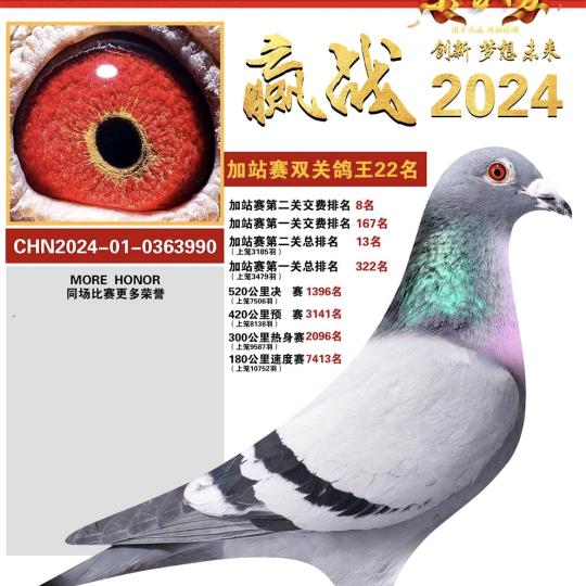 长春诚信翔赢鸽苑