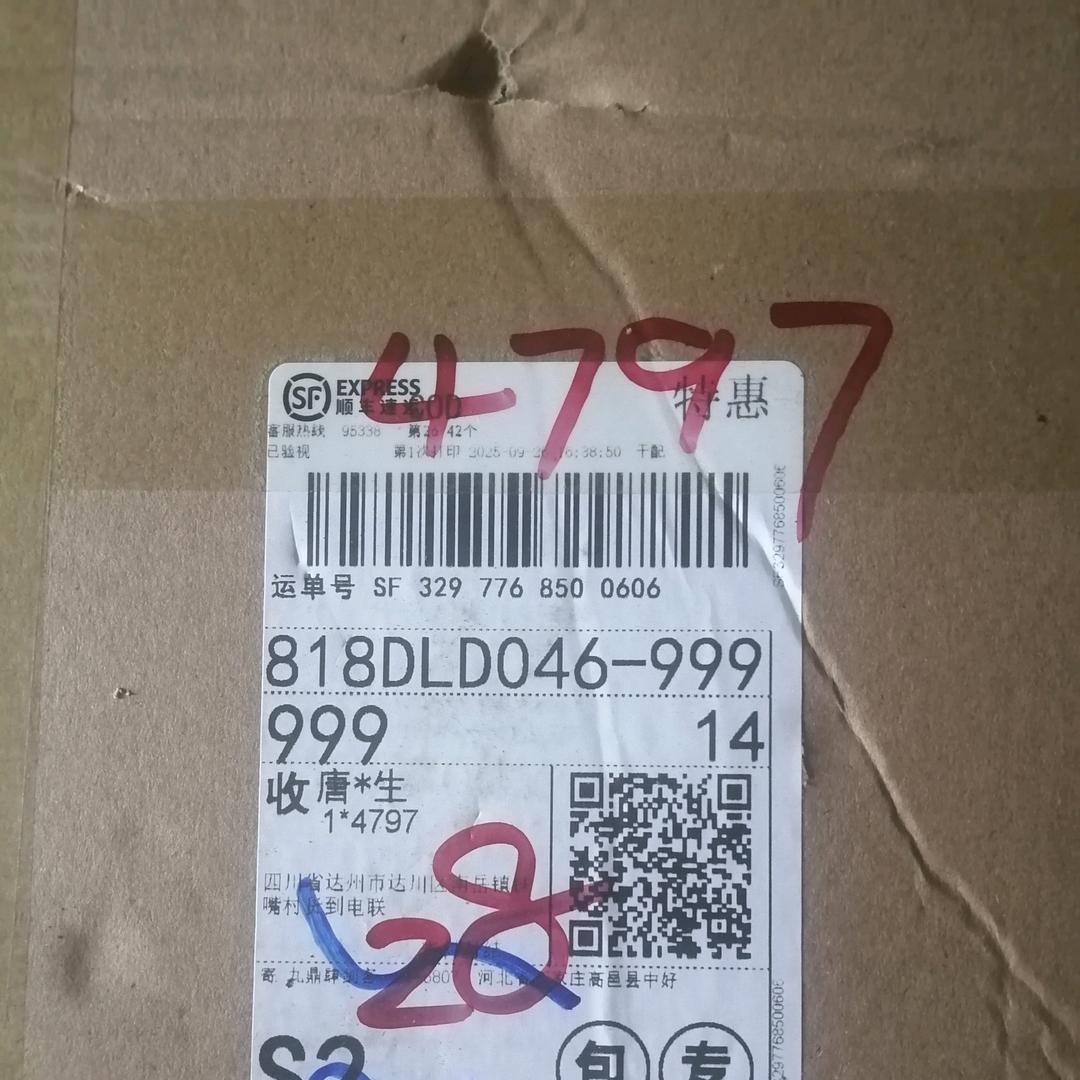大树