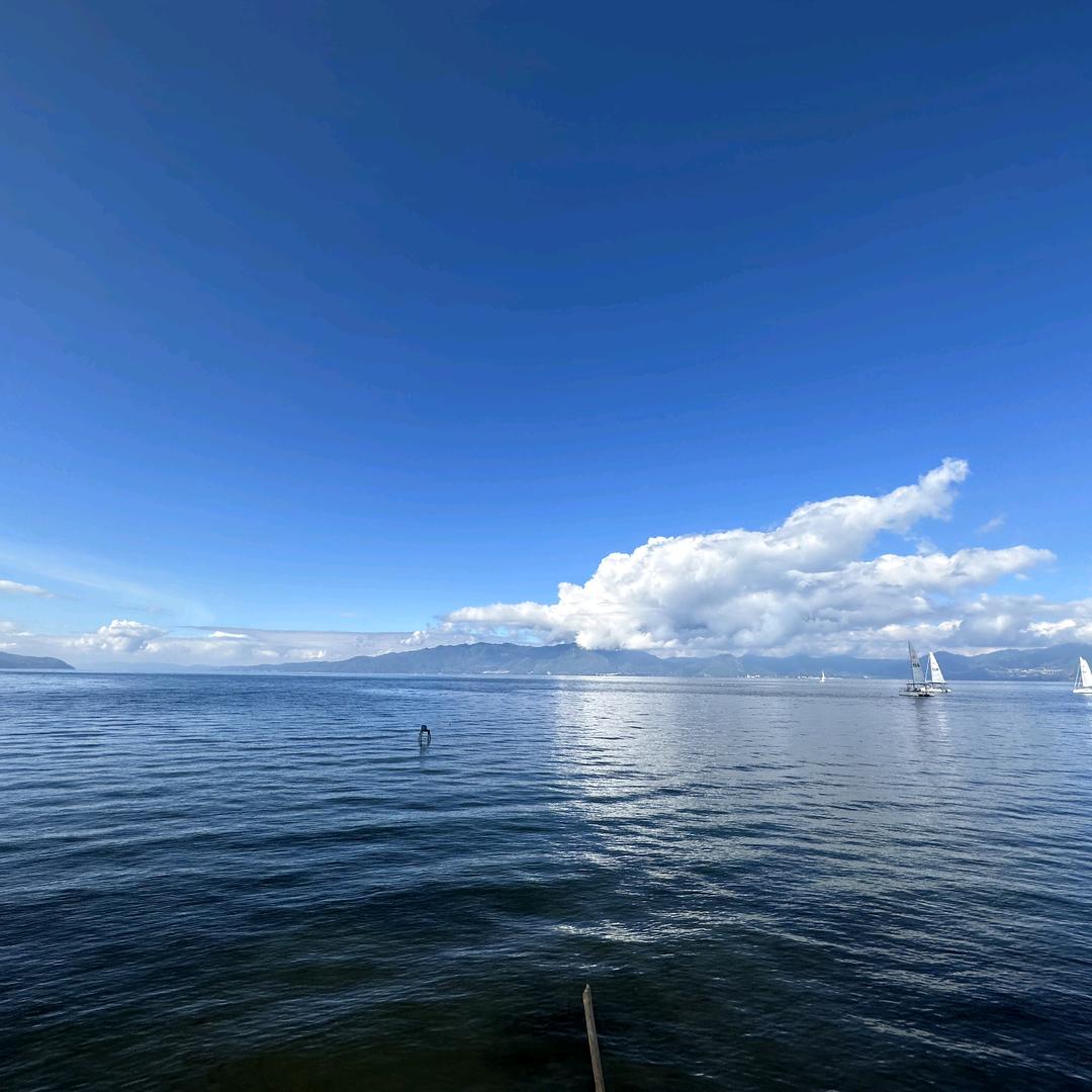 何言初相遇，无言话别离