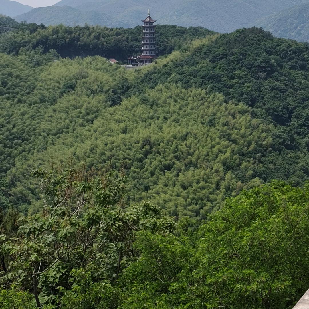 一人浪迹天涯。