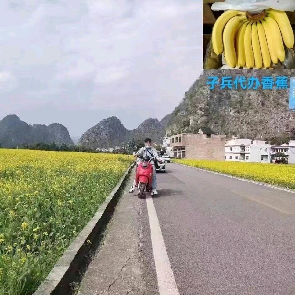 子兵全国调车  代办   子兵果业