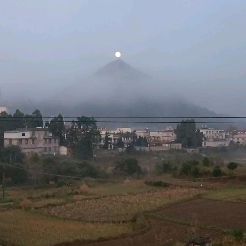 @我是你的钱难有@