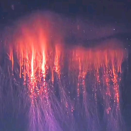 道法自然