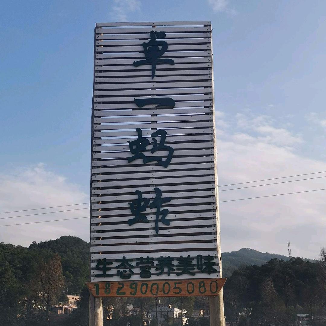 卓一蚂蚱