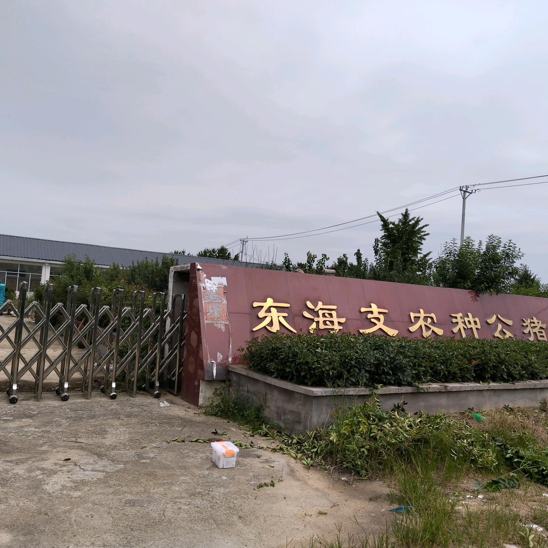 东海支农种猪场李长生