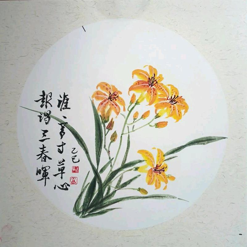 🍀忘忧草🍀