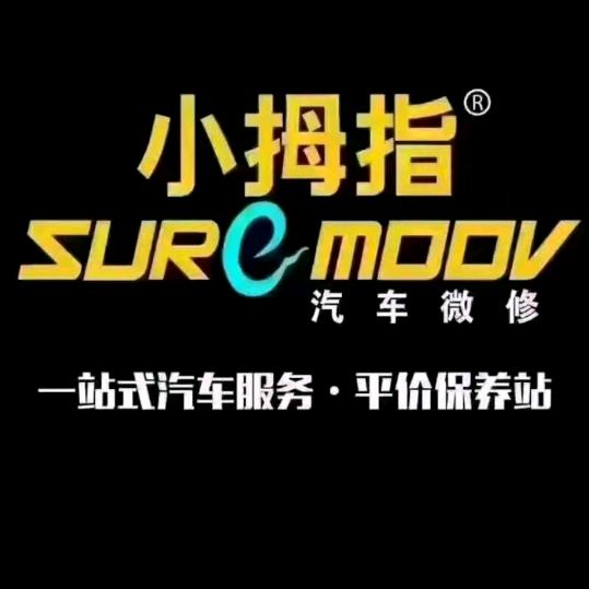 静海天丽汽修厂（小拇指静海东环团静路店)