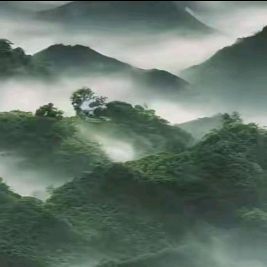 ꧁꫞🐉今🐉生🐉最🐉爱🐉꫞꧂